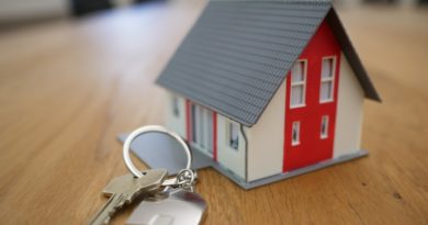 pret immobilier