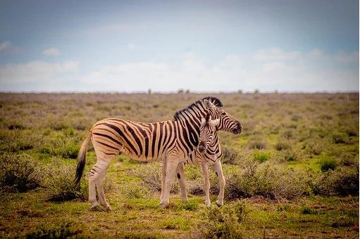 Namibie