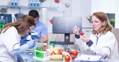 Les étapes cruciales de la mise en place du plan HACCP HACCP