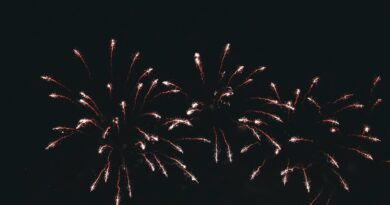 voyage nouvel an pas cher