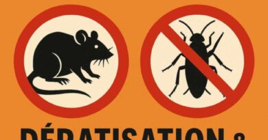 Dératisation & Désinsectisation : Protégez votre santé et vos espaces des nuisibles désinsectisation