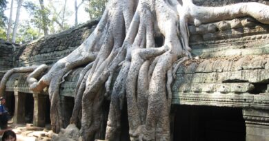 voyage au Cambodge