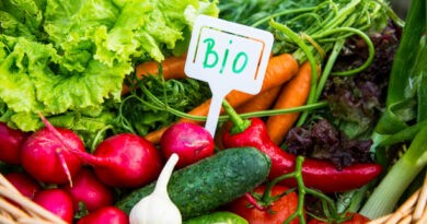 consommation responsable