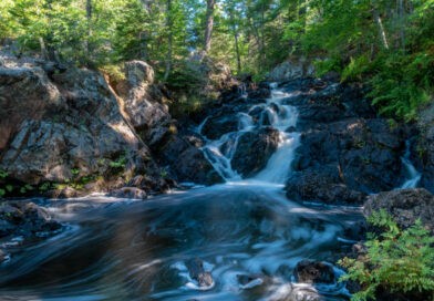 Sault-Sainte-Marie : une ville entre nature et histoire Sault-Sainte-Marie